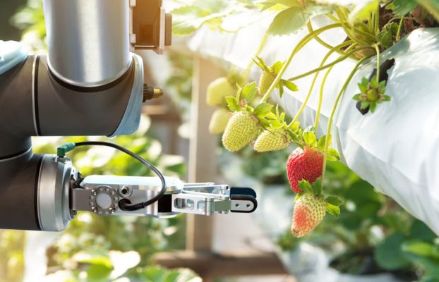 Robots in Agriculture